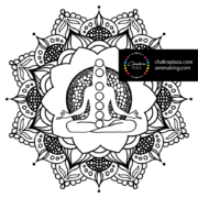 Meditating Woman Chakra Centers Mandala Coloring Page