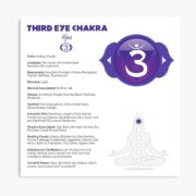 Third Eye Chakra Chart & Illustration