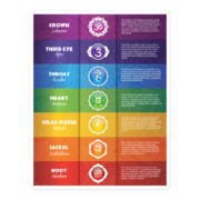 7 chakra chart sticker